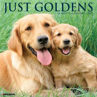 Goldens 2027 12" x 12" Wall Calendar