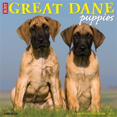 Great Dane Puppies 2027 12" x 12" Wall Calendar