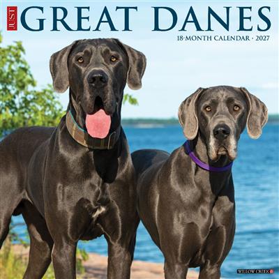 Great Danes 2027 12" x 12" Wall Calendar
