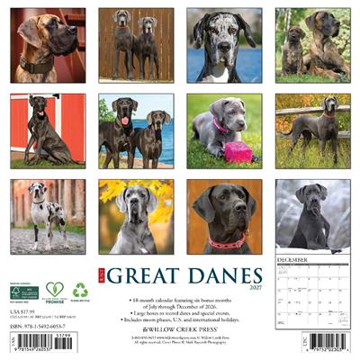 Great Danes 2027 12" x 12" Wall Calendar
