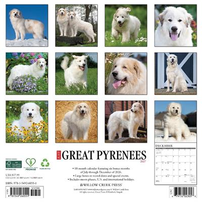 Great Pyrenees 2027 12" x 12" Wall Calendar
