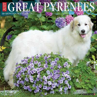 Great Pyrenees 2027 12" x 12" Wall Calendar