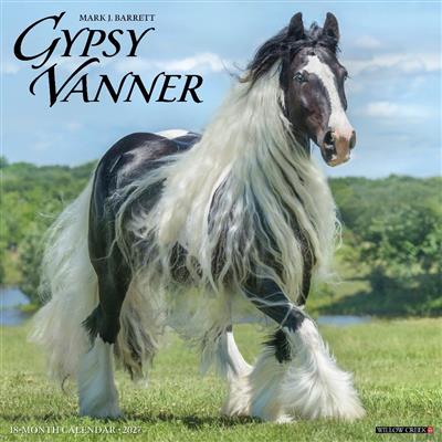 Gypsy Vanner Horse 2027 12" x 12" Wall Calendar