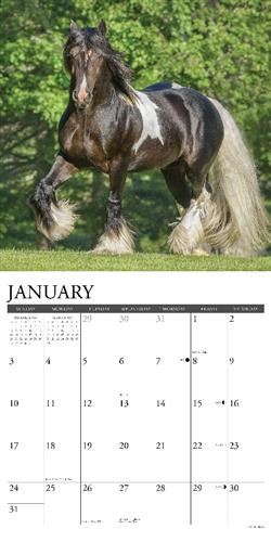 Gypsy Vanner Horse 2027 12" x 12" Wall Calendar