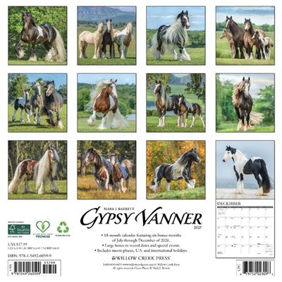 Gypsy Vanner Horse 2027 12" x 12" Wall Calendar