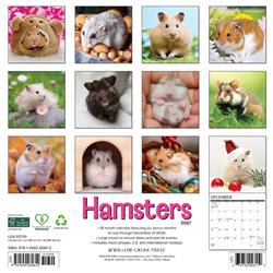 Extra Product Image