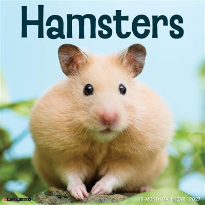 Hamsters 2027 12" x 12" Wall Calendar