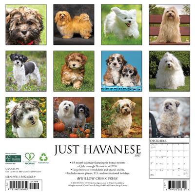 Havanese 2027 12" x 12" Wall Calendar
