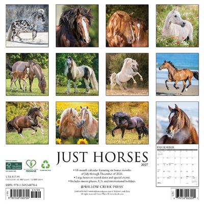 Horses 2027 12" x 12" Wall Calendar