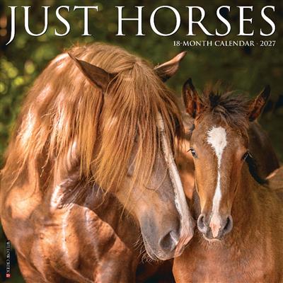 Horses 2027 12" x 12" Wall Calendar