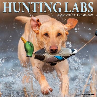 Hunting Labs 2027 12" x 12" Wall Calendar