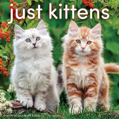 Kittens 2027 12" x 12" Wall Calendar