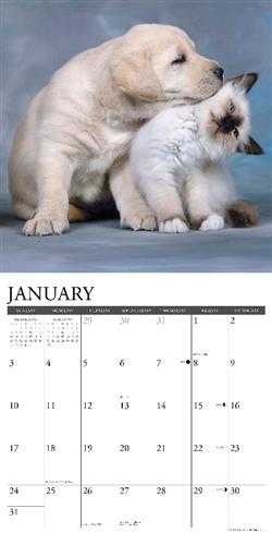 Kittens & Puppies 2027 12" x 12" Wall Calendar