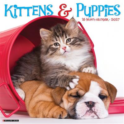 Kittens & Puppies 2027 12" x 12" Wall Calendar