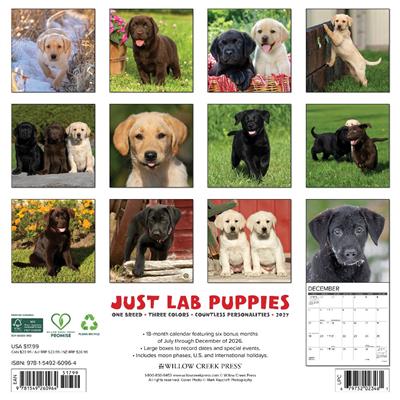 Lab Puppies 2027 12" x 12" Wall Calendar