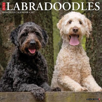 Labradoodles 2027 12" x 12" Wall Calendar