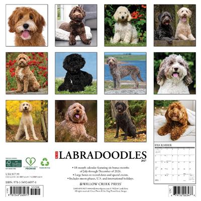 Labradoodles 2027 12" x 12" Wall Calendar