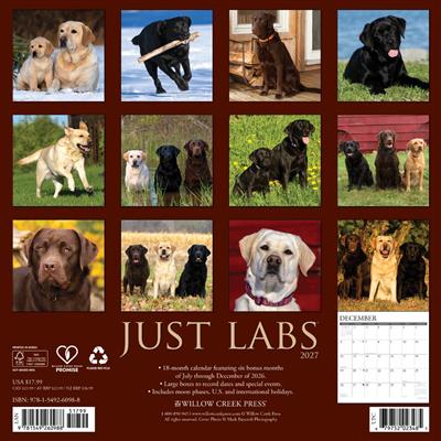 Labs 2027 12" x 12" Wall Calendar