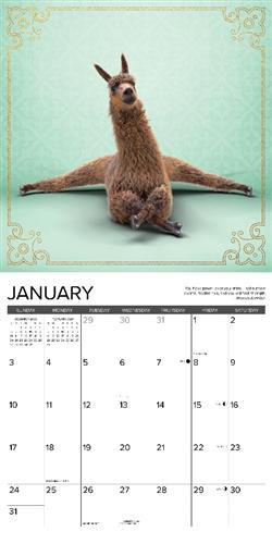 Llama Yoga 2027 12" x 12" Wall Calendar