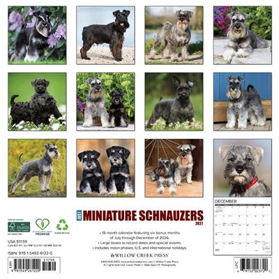 Miniature Schnauzers 2027 12" x 12" Wall Calendar