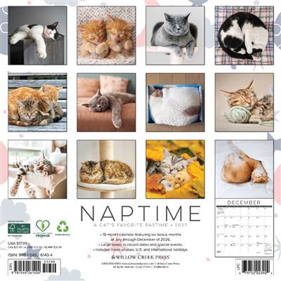Naptime: A Cat's Favorite Pastime 2027 12" x 12" Wall Calendar