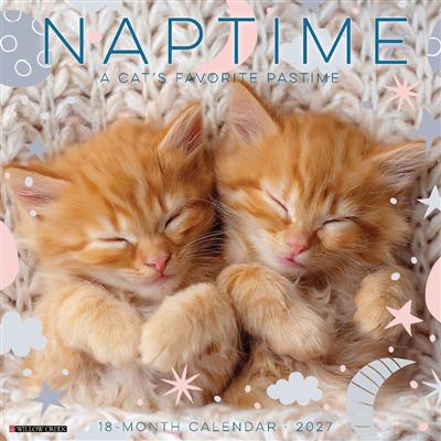 Naptime: A Cat's Favorite Pastime 2027 12" x 12" Wall Calendar