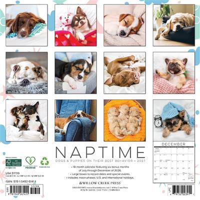 Naptime: Dogs & Puppies on their Best Behavior 2027 12" x 12" Wall Calendar