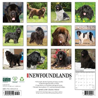 Newfoundlands 2027 12" x 12" Wall Calendar