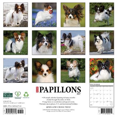 Papillons 2027 12" x 12" Wall Calendar