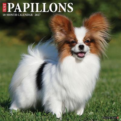 Papillons 2027 12" x 12" Wall Calendar