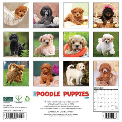 Poodle Puppies 2027 12" x 12" Wall Calendar