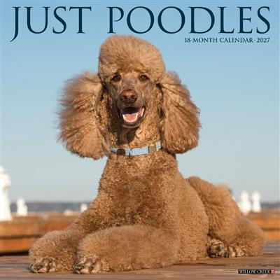 Poodles 2027 12" x 12" Wall Calendar