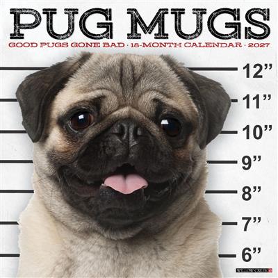 Pug Mugs 2027 12" x 12" Wall Calendar
