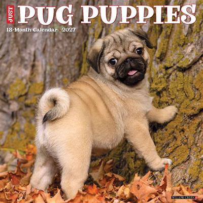 Pug Puppies 2027 12" x 12" Wall Calendar