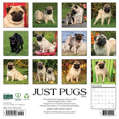 Pugs 2027 12" x 12" Wall Calendar
