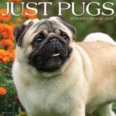 Pugs 2027 12" x 12" Wall Calendar