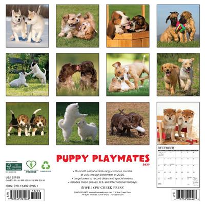 Puppy Playmates 2027 12" x 12" Wall Calendar