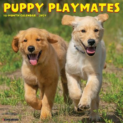 Puppy Playmates 2027 12" x 12" Wall Calendar