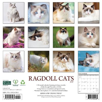 Ragdoll Cats 2027 12" x 12" Wall Calendar