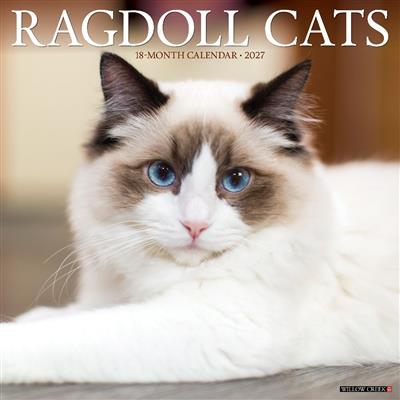 Ragdoll Cats 2027 12" x 12" Wall Calendar