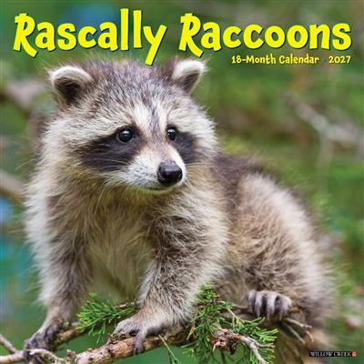 Rascally Raccoons 2027 12" x 12" Wall Calendar