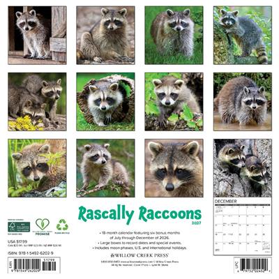 Rascally Raccoons 2027 12" x 12" Wall Calendar