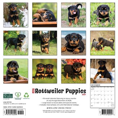 Rottweiler Puppies 2027 12" x 12" Wall Calendar