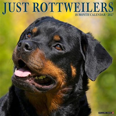 Rottweilers 2027 12" x 12" Wall Calendar