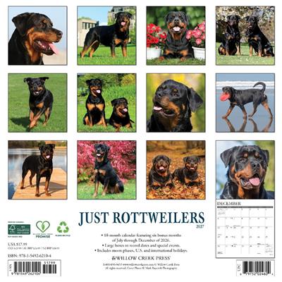 Rottweilers 2027 12" x 12" Wall Calendar