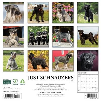 Schnauzers 2027 12" x 12" Wall Calendar