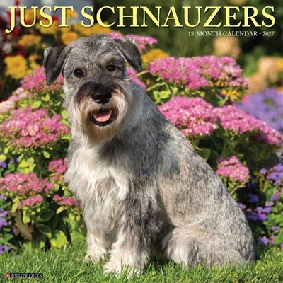 Schnauzers 2027 12" x 12" Wall Calendar