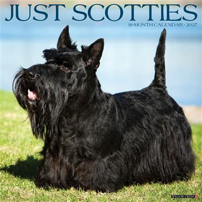 Scotties 2027 12" x 12" Wall Calendar