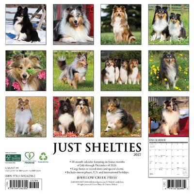 Shelties 2027 12" x 12" Wall Calendar