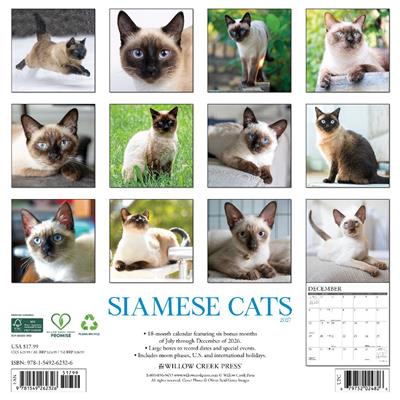 Siamese Cats 2027 12" x 12" Wall Calendar